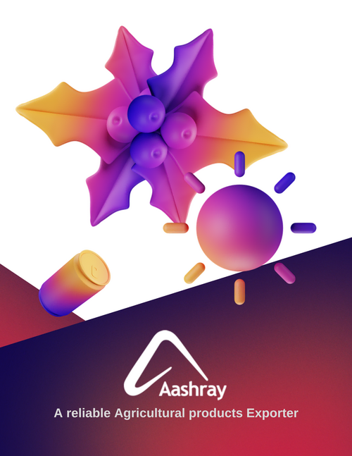 Driving Global Agri-Export Success: How Aashray Impex LLC Rebranded for Rapid B2B Growth