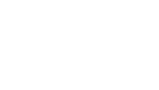 whitepegasus-logo